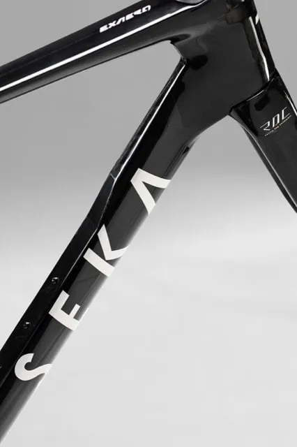 SEKA ExAero RDC head tube and down tube branding