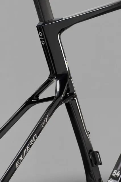 SEKA ExAero RDC dropped seatstays and EXAERO RDC mark